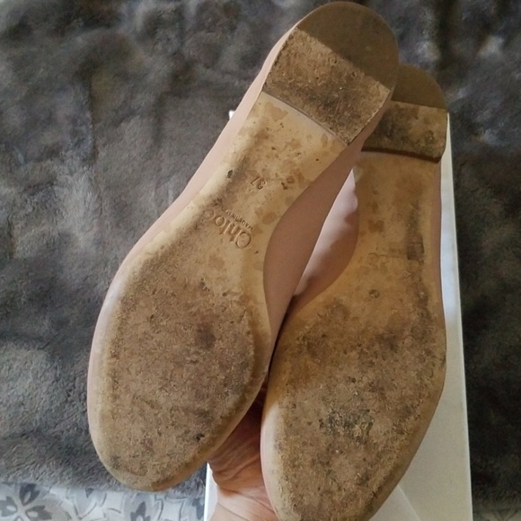 Chloe Scallop flats - Picture 4 of 6